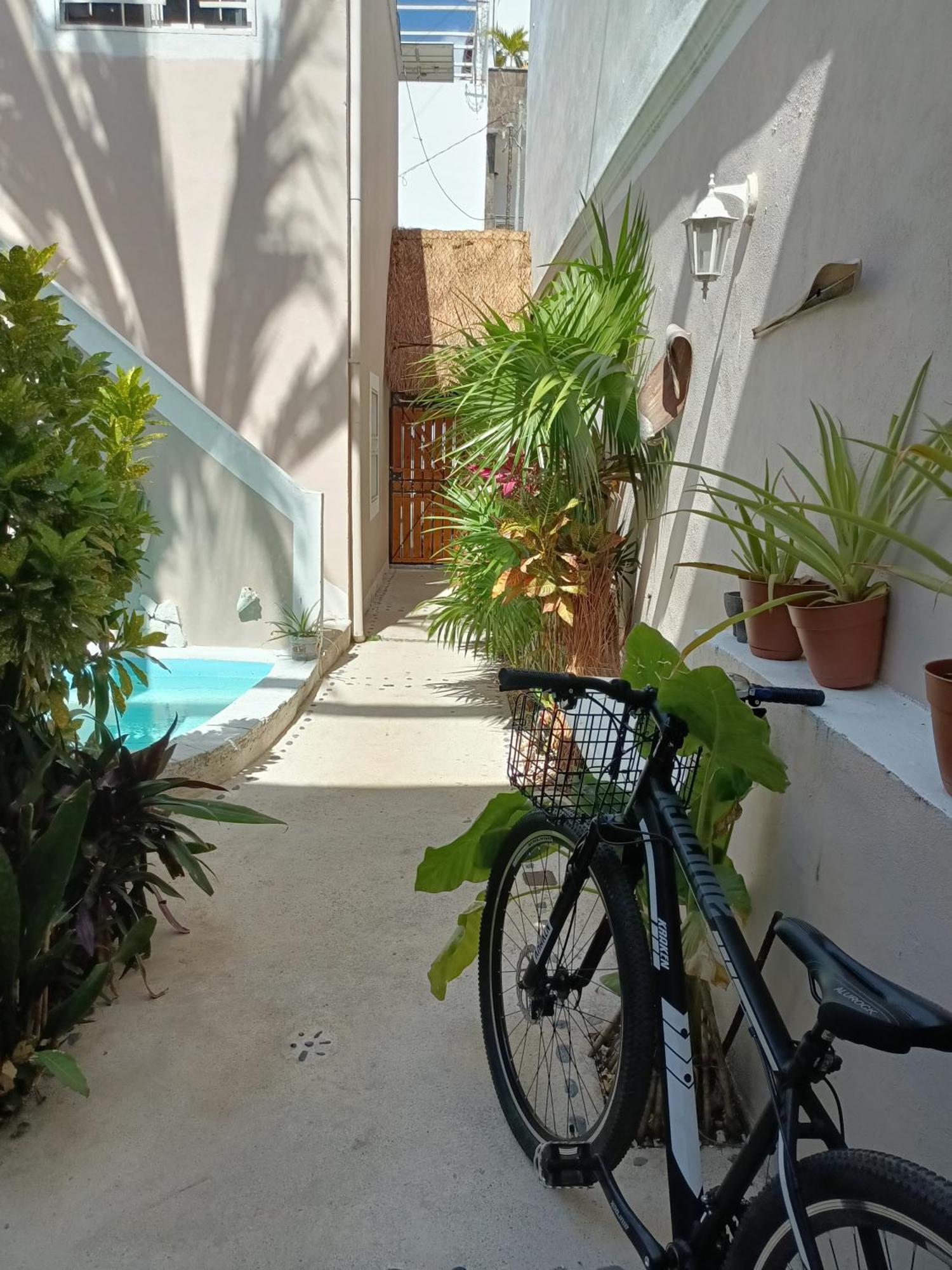 Kika Studios Playa del Carmen Exterior photo