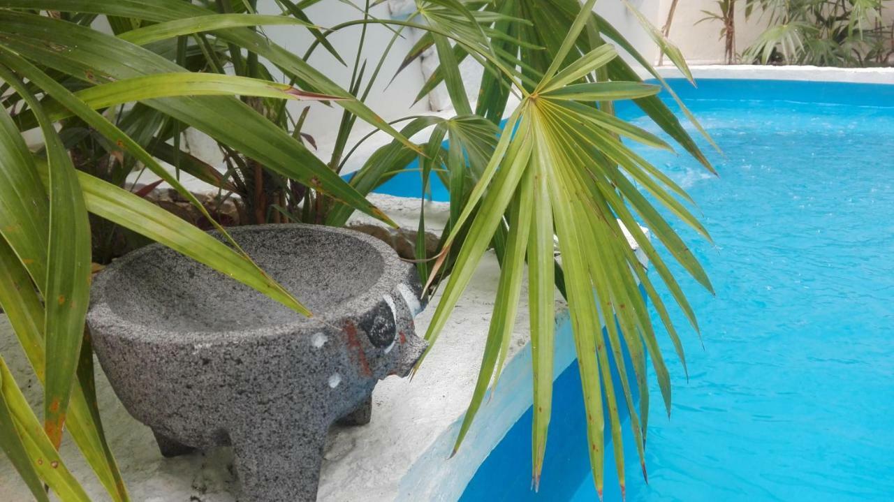 Kika Studios Playa del Carmen Exterior photo