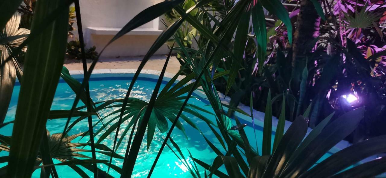 Kika Studios Playa del Carmen Exterior photo